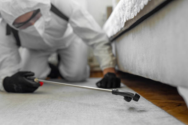 Professional Bed Bug Control technician working in Rosemount, OH