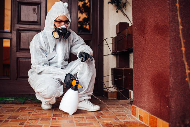 Reliable Bed Bug Control contractor in Rosemount, OH by Nex Pest Control